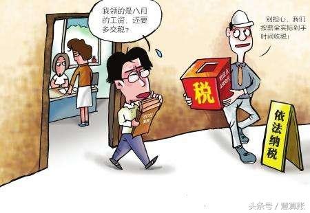 依法纳税