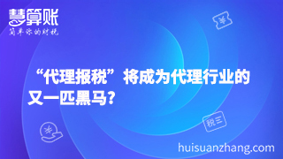 “代理报税”将成为代理行业的又一匹黑马?