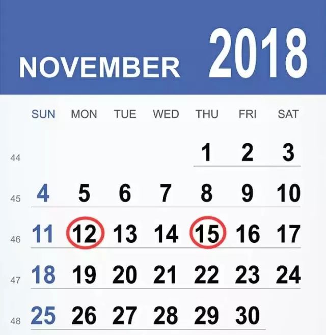 11月申报期